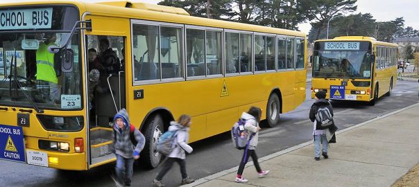 Autobuze transport elevi la scoala